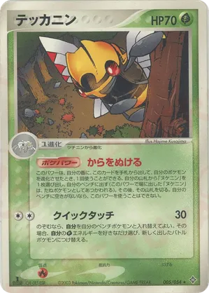 Ninjask