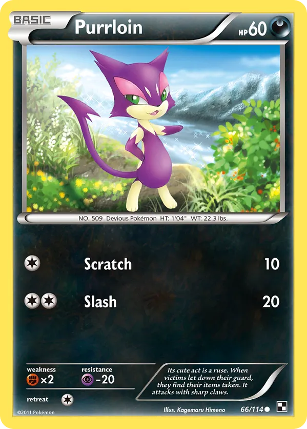 Purrloin - Black & White #66