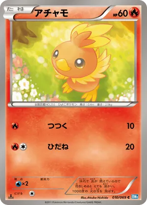 Torchic
