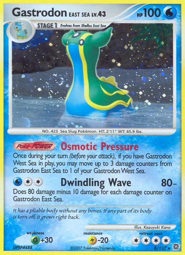 Gastrodon East Sea - Secret Wonders #8