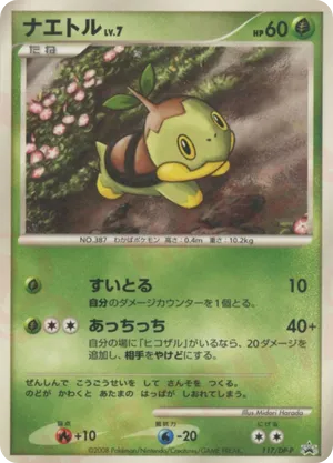 Turtwig