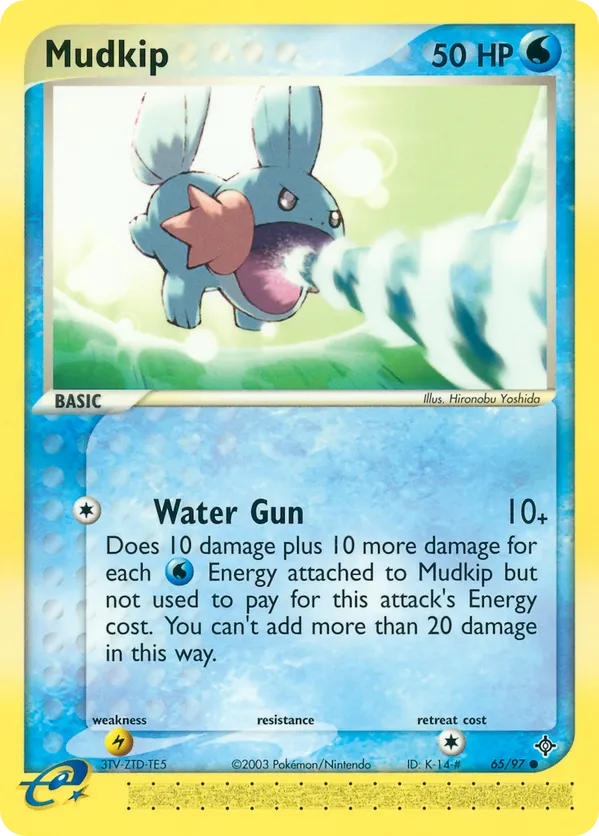 Mudkip - Dragon #65