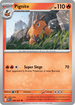 Pignite - Ascended Heroes 30 Pokemon TCG Card