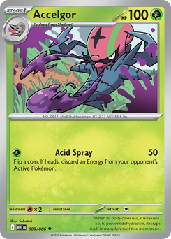 Accelgor - White Flare 9 Pokemon TCG Card