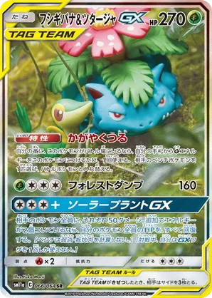 Venusaur & Snivy-GX
