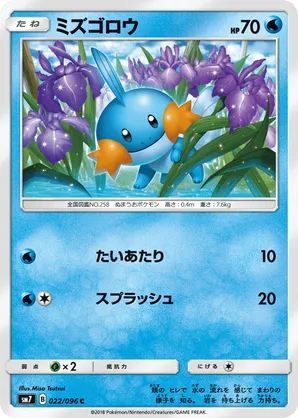 Mudkip