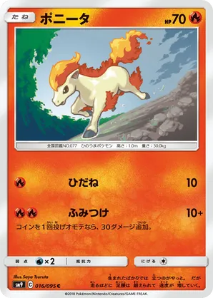 Ponyta