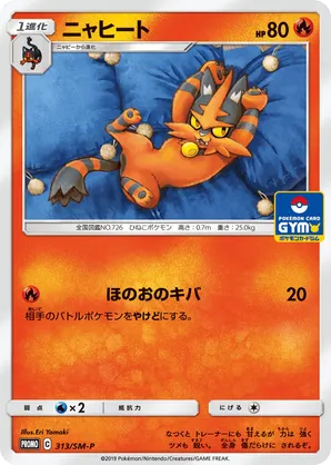 Torracat
