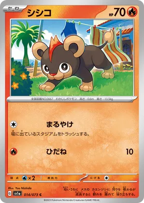 Litleo