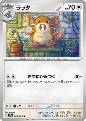 Raticate