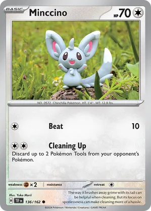Minccino