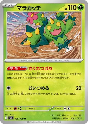 Maractus