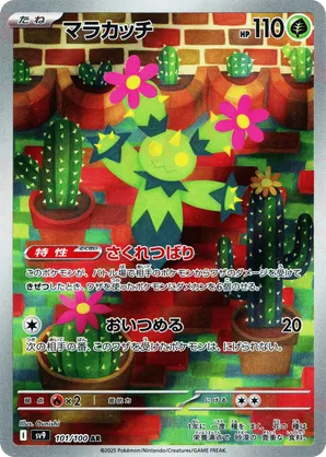 Maractus