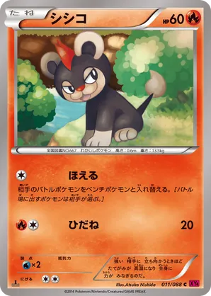 Litleo